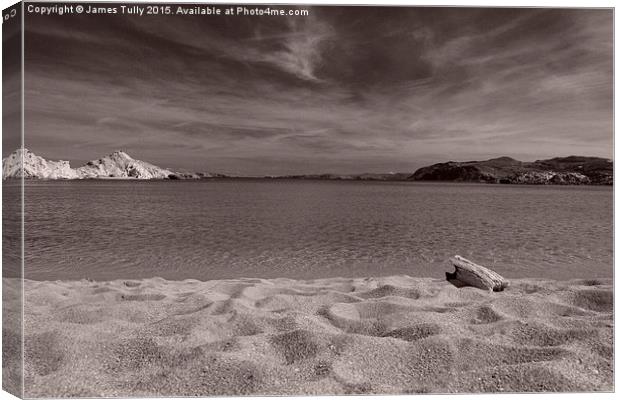  Driftwood Canvas Print by James Tully