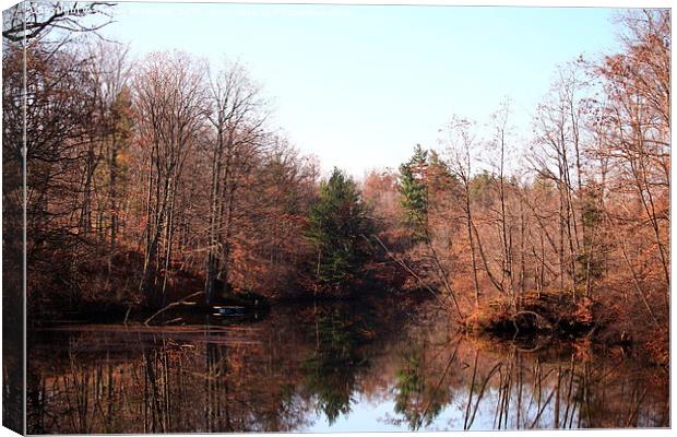  Mill Pond Canvas Print by shawn mcphee I