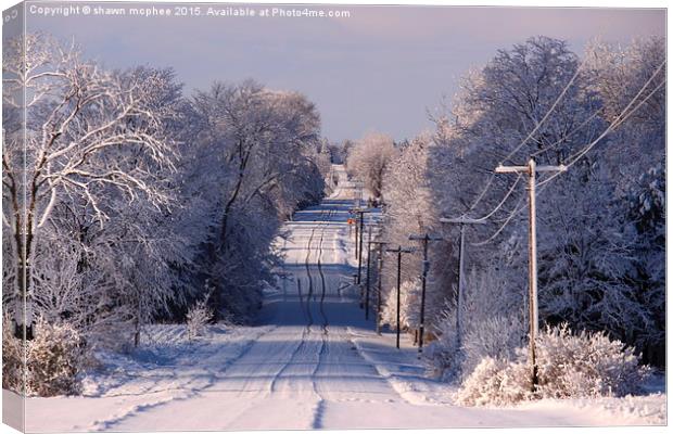  road to wonderland Canvas Print by shawn mcphee I