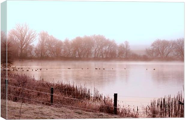  Frosty Morning on the pond Canvas Print by shawn mcphee I