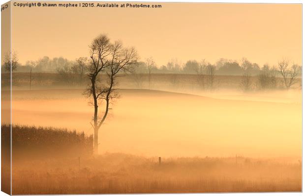  Morning on the Farm Canvas Print by shawn mcphee I