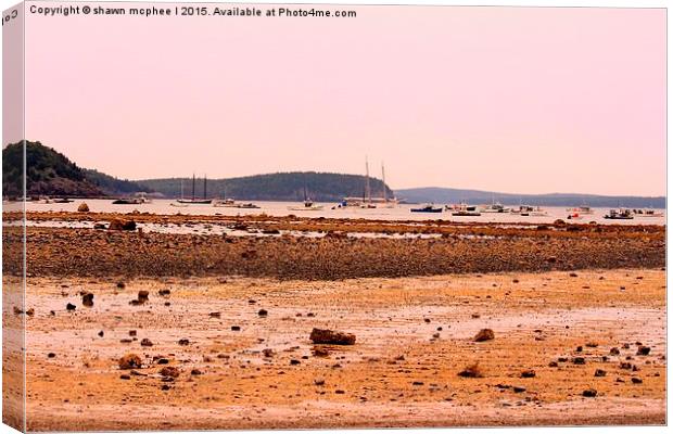  Bar Harbour at low tide Canvas Print by shawn mcphee I