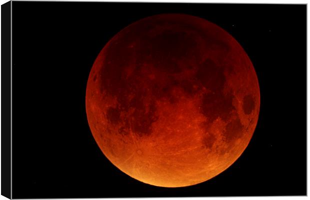  MOON ,BLOOD RED LUNAR ECLIPSE Canvas Print by DAVID SAUNDERS