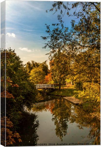 RIVER CHERWELL AUTUMN REFLECTIONS Canvas Print by DAVID SAUNDERS