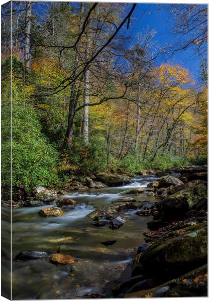  Autumn Flow Canvas Print by Timothy Bell