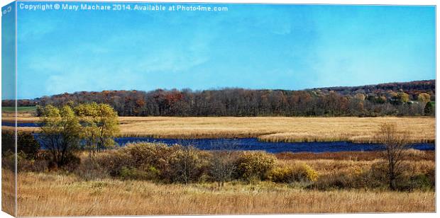 The Marsh Canvas Print by Mary Machare