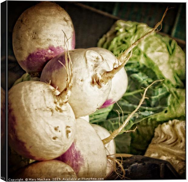 Turnips at the Market Canvas Print by Mary Machare