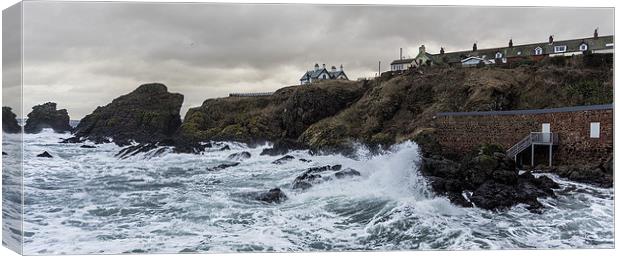 A Stormy day at St Abbbs Canvas Print by Alan Whyte