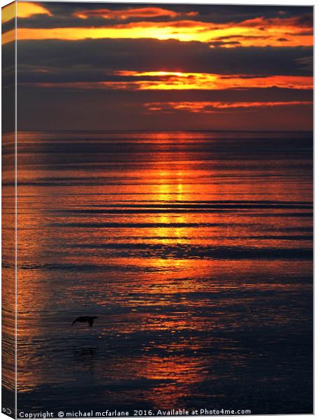 Golden sunrise over scurdie ness Canvas Print by michael mcfarlane