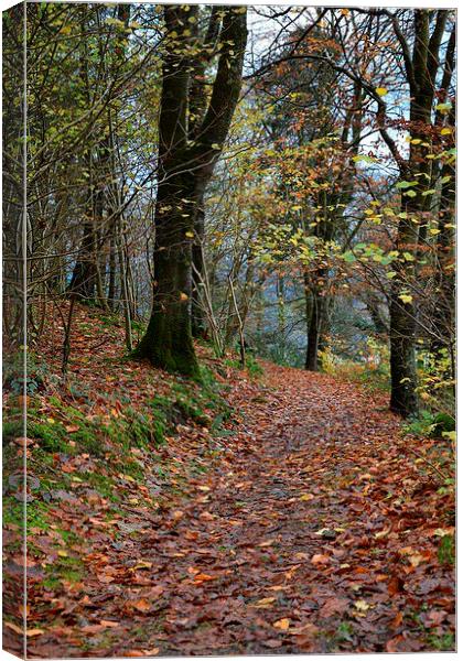  Autumn leaves Canvas Print by Paul Collis