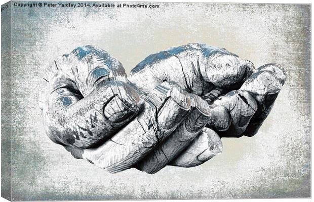  A Safe Pair Of Hands Canvas Print by Peter Yardley
