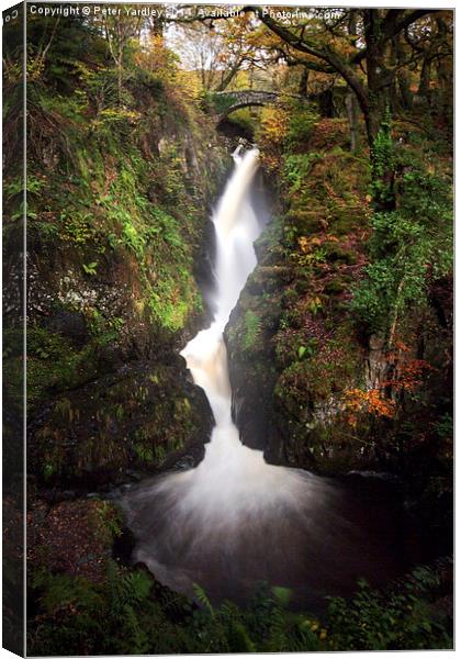  Aira Force Canvas Print by Peter Yardley