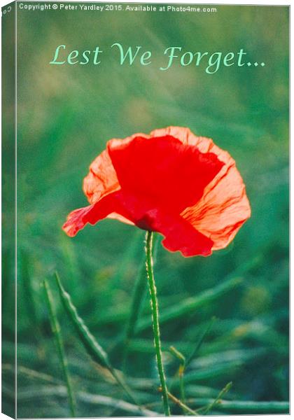 Poppy…In Remembrance  Canvas Print by Peter Yardley