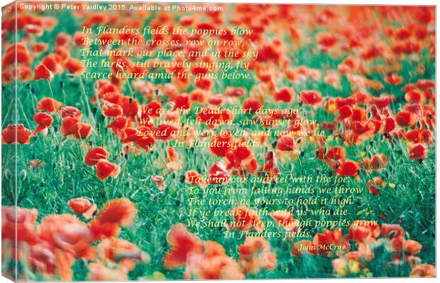 Poppies…In Flanders Fields  Canvas Print by Peter Yardley