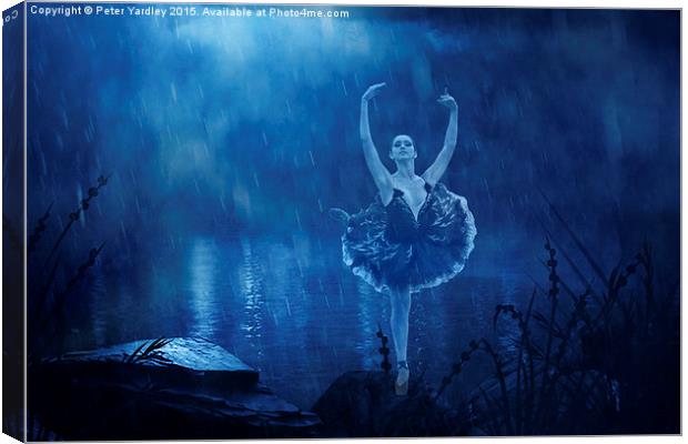  Ballerina in Blue Canvas Print by Peter Yardley