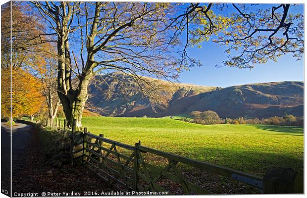 Autumn In Wasdale Canvas Print by Peter Yardley