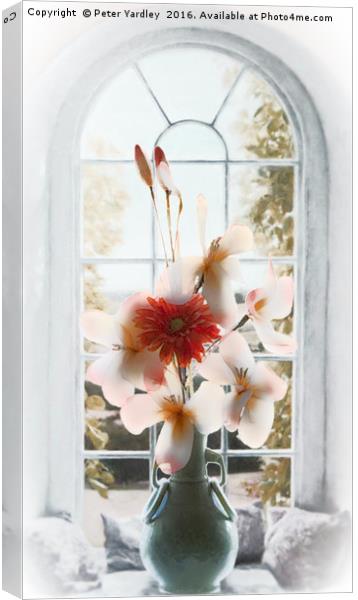 Flowers in Vase at Window #1 Canvas Print by Peter Yardley