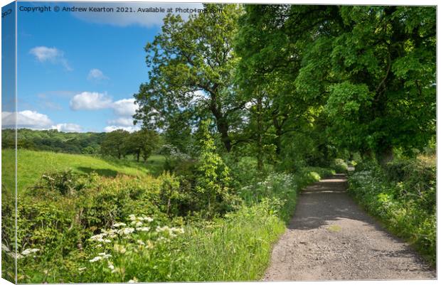 English country lane in early summer Canvas Print by Andrew Kearton