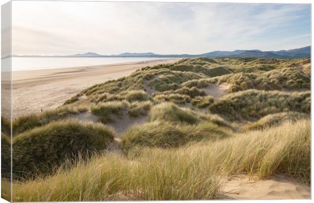 Harlech beach and dunes at sunset Canvas Print by Andrew Kearton