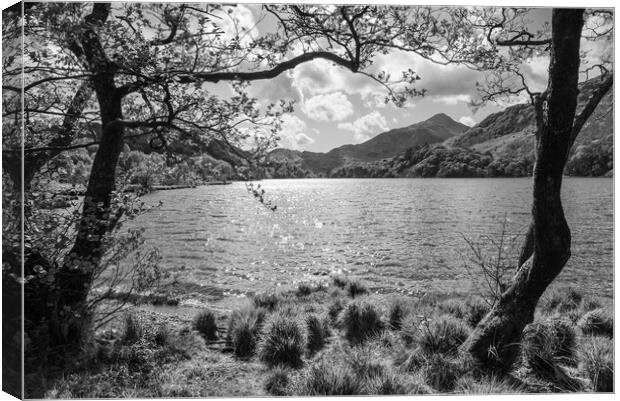 Llyn Gwynant with sunlight sparkling on the water. Snowdonia, North Wales. Canvas Print by Andrew Kearton