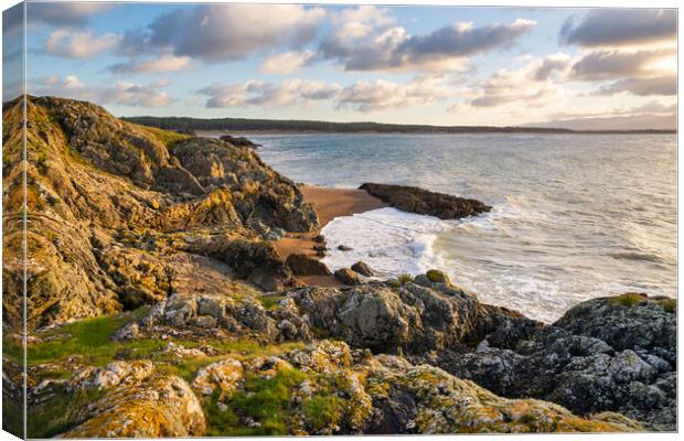 Dawn on Ynys Llandwyn, Newborough beach, Anglesey Canvas Print by Andrew Kearton