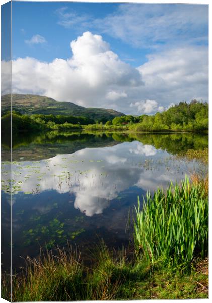 Reflections on a lake in North Wales Canvas Print by Andrew Kearton