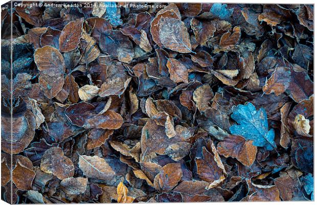  Frosty leaf abstract Canvas Print by Andrew Kearton
