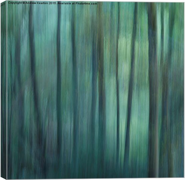 Forest greens Canvas Print by Andrew Kearton