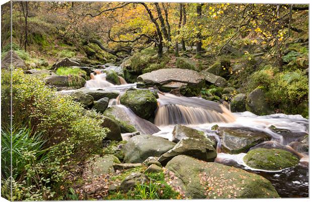  Beside a moorland stream in autumn Canvas Print by Andrew Kearton