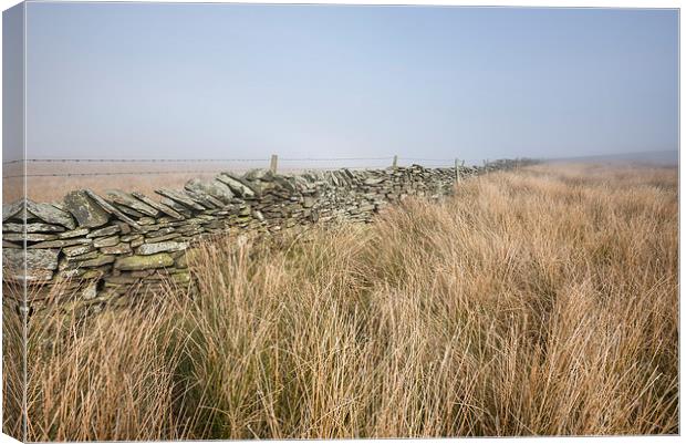  Misty morning on the moors Canvas Print by Andrew Kearton