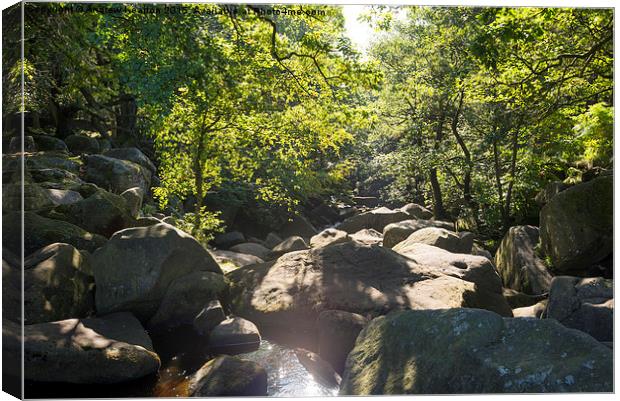  Burbage brook, Derbyshire, in October sunshine Canvas Print by Andrew Kearton