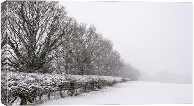  Snowy rural scene in the English countryside Canvas Print by Andrew Kearton