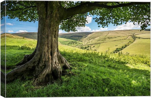  In the shade on a sunny day in the High Peak Canvas Print by Andrew Kearton