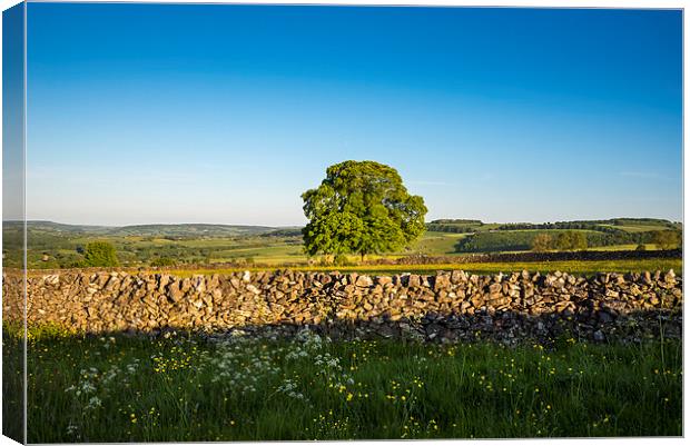 Peak District countryside in summer Canvas Print by Andrew Kearton