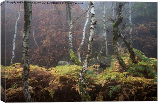  Autumn in the Peak District Canvas Print by Andrew Kearton