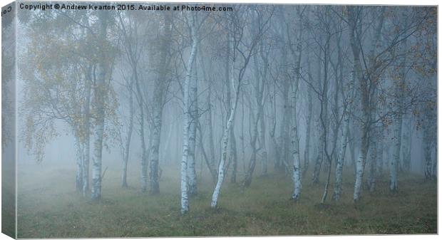  Autumn mist in Silver Birch woods Canvas Print by Andrew Kearton