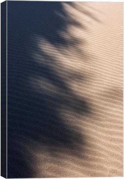  Shadows on the sand Canvas Print by Andrew Kearton