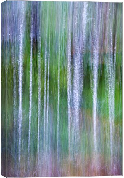  Falling water Canvas Print by Andrew Kearton