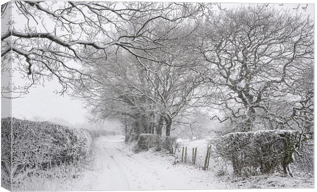  English country lane in the snow Canvas Print by Andrew Kearton