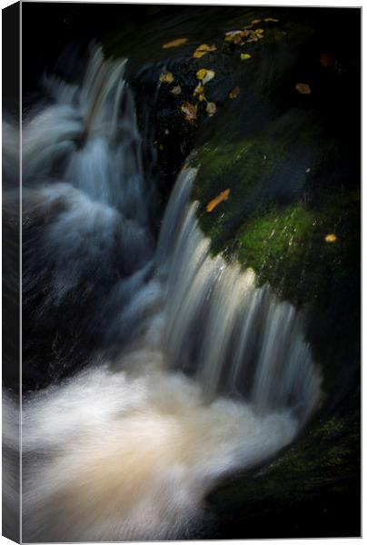 Autumn waterfall Canvas Print by Andrew Kearton