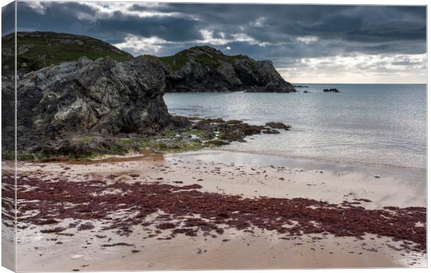 Porth Dafarch, Anglesey Canvas Print by Andrew Kearton