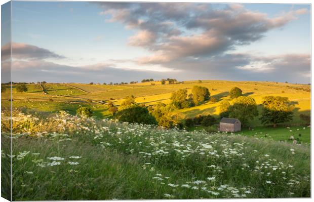 Summer countryside Canvas Print by Andrew Kearton