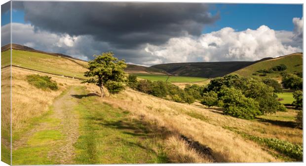 Path to the hills Canvas Print by Andrew Kearton