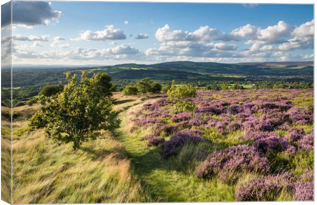 Summer in Charlesworth, Derbyshire Canvas Print by Andrew Kearton