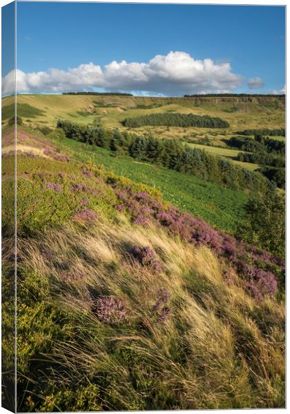 Coombes edge in summer Canvas Print by Andrew Kearton
