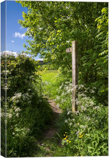 Footpath sign in summer Canvas Print by Andrew Kearton