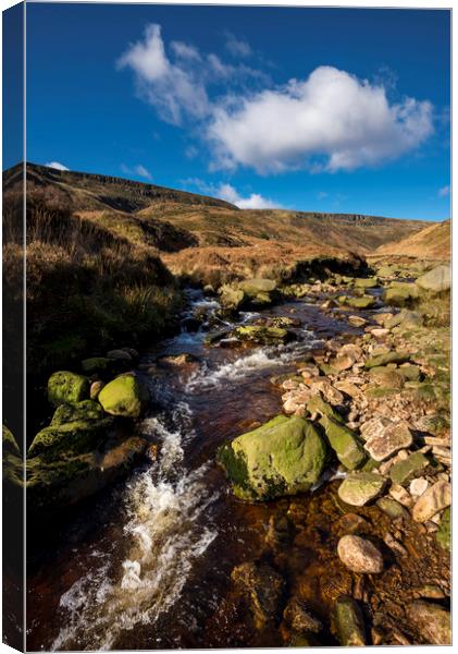 Crowden brook Canvas Print by Andrew Kearton