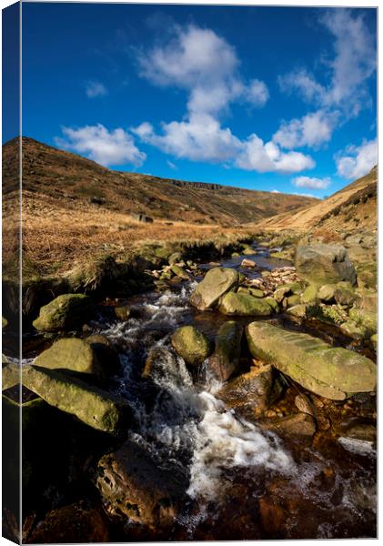 Crowden brook Canvas Print by Andrew Kearton