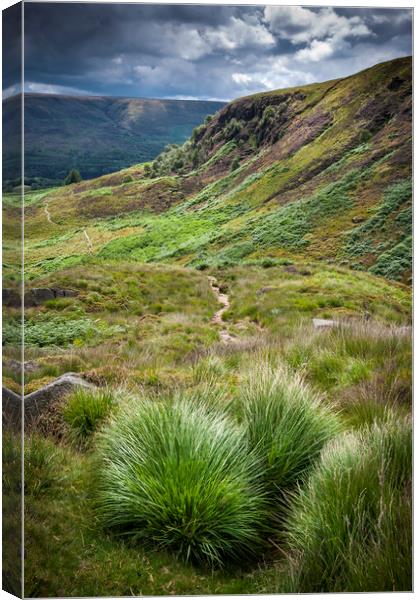 Summer at Crowden Canvas Print by Andrew Kearton