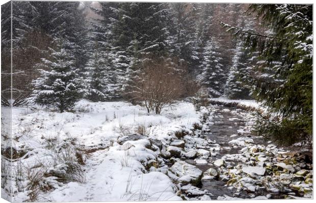 Snowy forest beside the Snake Pass Canvas Print by Andrew Kearton